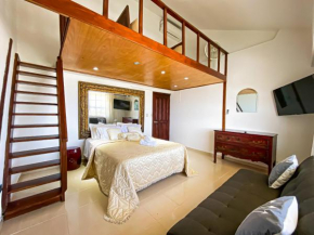 PENTHOUSE EN EL CENTRO DE LA CUIDAD